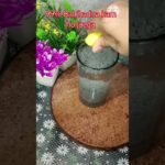 Sabja Seeds :A super food your Well being  #shortvideo #youtubeshorts #shoets