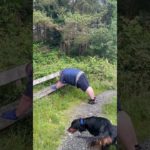 Sesh exercise #exercise  #wellness #accountabilitypartner #wellbeing #canva