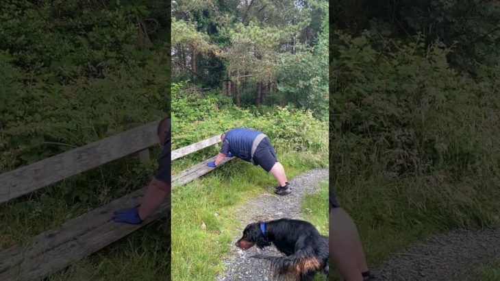 Sesh exercise #exercise  #wellness #accountabilitypartner #wellbeing #canva