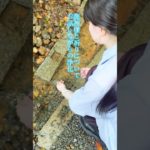 癒しの白龍様🐉 #浄化 #スピリチュアル #パワーストーンブレスレット