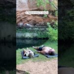 5 Things for YOUR MENTAL WELLBEING ✨ #fitnessmotivation