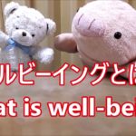 平日毎日更新【３０秒で薬局英会話】「ウェルビーイングとは？」「肉体的、精神的、社会的にすべてが満たされた状態をいいます。」〔#895〕