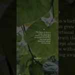 Self-awareness is 🔑 #healing #quotes #growth #wellbeing #relatable