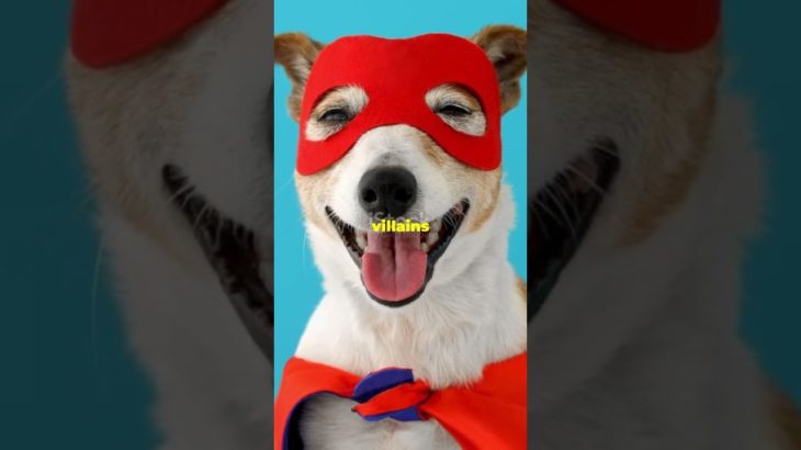 Vaccinations are crucial for your pets well-being #trendingshorts