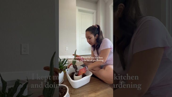 #healing my #health #heart & #mindset as I recover from #ectopicpregnancy ❤‍🩹 #wellness #wellbeing