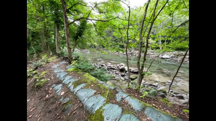 【瞑想】1分間の癒しサウンド