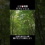 1分⏰️瞑想リフレッシュ#環境音 #自然音 #リフレッシュ #メンタル #癒し #森の音 #pixabay #forest