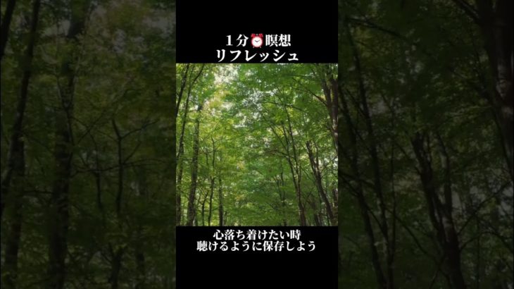 1分⏰️瞑想リフレッシュ#環境音 #自然音 #リフレッシュ #メンタル #癒し #森の音 #pixabay #forest