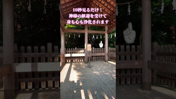 ⚠️強力浄化⚠️10秒見るだけです！神様の歓迎を受けて身も心も浄化されて運気が上昇します🌈✨【白山神社祓戸】 #浄化 #運気上昇 #スピリチュアル #パワースポット #遠隔参拝