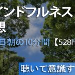 金曜日朝の10分間マインドフルネス瞑想🌈暑さに負けずリラックスして集中力＆生産性アップ【ソルフェジオ周波数528hz】 夏の森で癒しの瞑想🧘‍♀️