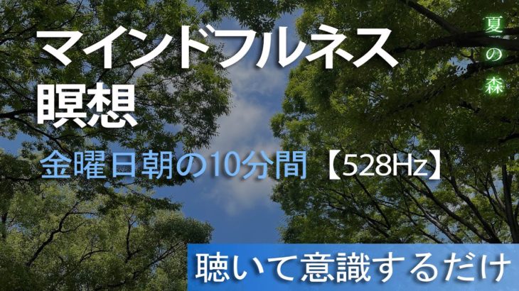 金曜日朝の10分間マインドフルネス瞑想🌈暑さに負けずリラックスして集中力＆生産性アップ【ソルフェジオ周波数528hz】 夏の森で癒しの瞑想🧘‍♀️