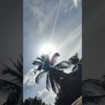 1503. My Exptl lrng :The art of Meditation. Make the turbulent mind at peace The art of mindfulness.