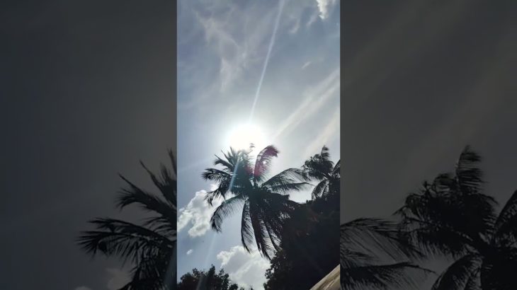 1503. My Exptl lrng :The art of Meditation. Make the turbulent mind at peace The art of mindfulness.