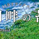 【15分メディテーション】湖畔の苔癒しBGM #湖畔 #苔 #癒し #瞑想