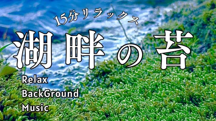 【15分メディテーション】湖畔の苔癒しBGM #湖畔 #苔 #癒し #瞑想