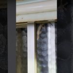 【スピリチュアル】2024 9/22　今日のヤモリくん