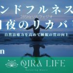 寝る前のマインドフルネス瞑想音楽🍀自然治癒力を高めて休日リカバリー【ソルフェジオ周波数285hz】（10分間の癒し・リラックスBGM）