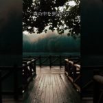 心を癒すスピリチュアルメソッド3選 #スピリチュアル #占い #運気が上がる秘訣 #運気アップのコツ #潜在意識 #幸運体質 #恋愛運 #金運 #運気を上げる