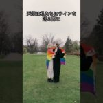 天使の存在を感じる瞬間3選 #スピリチュアル #幸運体質 #金運 #運気アップのコツ #恋愛 #潜在意識 #運気を上げる #開運 #運気が上がる秘訣 #占い