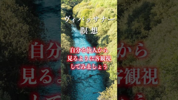 今ここに戻る 30秒 ヴィパッサナー瞑想 簡単 集中 誘導瞑想　#shorts #瞑想 #マインドフルネス