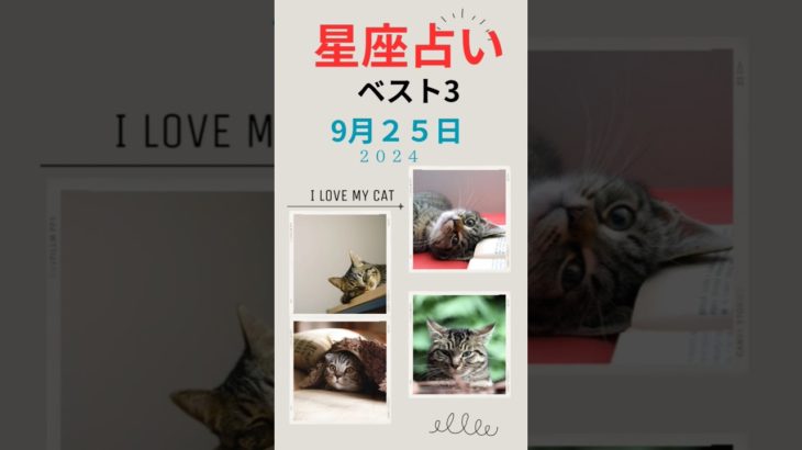星座占い　ベスト3　9/25　#占い #スピリチュアル #恋愛 #雑学 #運命学　