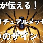 クモが伝えるスピリチュアルメッセージ！あなたに訪れる5つの変化のサイン