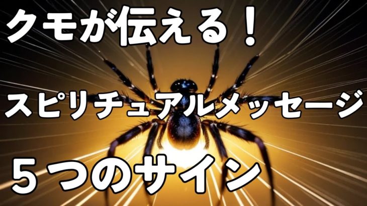 クモが伝えるスピリチュアルメッセージ！あなたに訪れる5つの変化のサイン