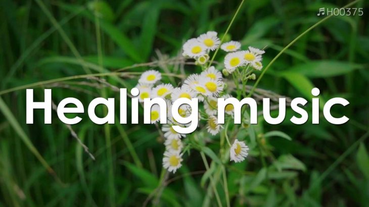 心を整える 朝の5分間瞑想と花の癒し 【 ヒーリングミュージック 】 Meditation music 5 minutes | ♬H00375