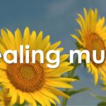 心を整える 朝の5分間瞑想と花の癒し 【 ヒーリングミュージック 】 Meditation music 5 minutes | ♬H00383