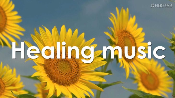 心を整える 朝の5分間瞑想と花の癒し 【 ヒーリングミュージック 】 Meditation music 5 minutes | ♬H00383