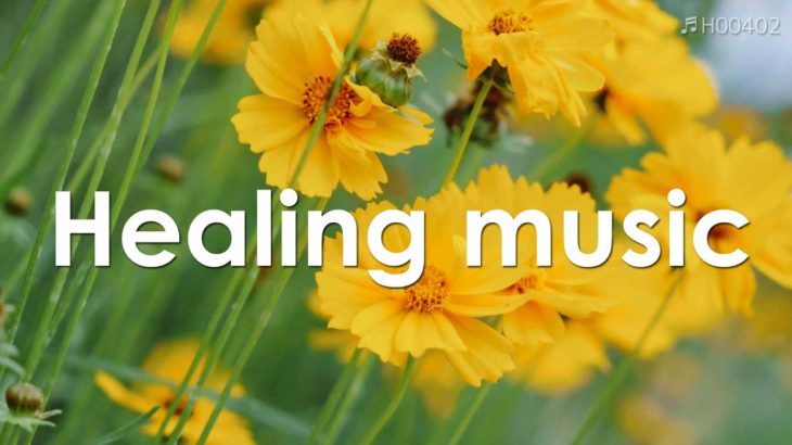 心を整える 朝の5分間瞑想と花の癒し 【 ヒーリングミュージック 】 Meditation music 5 minutes | ♬H00402