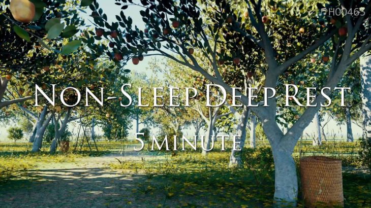 瞑想音楽 5分 NSDR 【 ヒーリングミュージック 】  Meditation music 5 minutes 癒しの音楽 | ♬H00463