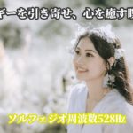 528Hz ソルフェジオ周波数 | ポジティブなエネルギーを引き寄せ、心を癒す瞑想音楽