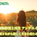 528Hz奇跡の癒し　DNA 細胞修復と再生を促し、若返り　アンチエイジング瞑想BGM