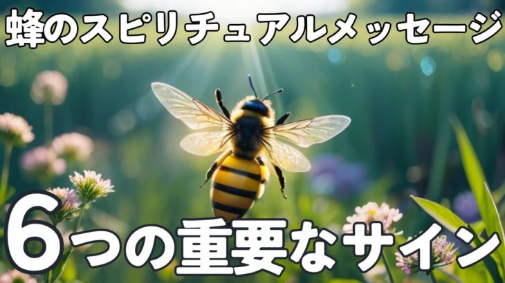 スピリチュアルな蜂のメッセージ！知っておきたい6つの重要なサイン