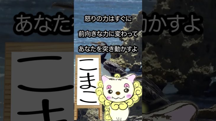 9/13のメッセージ♡ #こまこのまいにちメッセージ #スピリチュアルメッセージ #スピリチュアル好きな人と繋がりたい