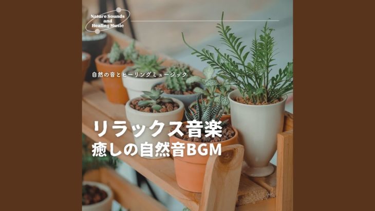 夜の瞑想-癒しのBGM-