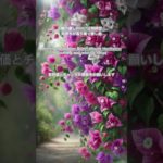 【朝の癒しBGM/1分間瞑想】#shorts #healing  #癒し #瞑想  #meditation #心が落ち着く音楽 #relaxingmusic #music #healingbgm