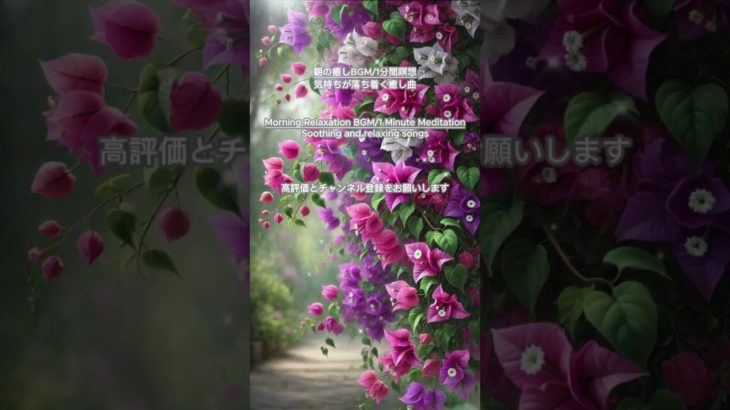 【朝の癒しBGM/1分間瞑想】#shorts #healing  #癒し #瞑想  #meditation #心が落ち着く音楽 #relaxingmusic #music #healingbgm