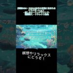 [瞑想BGM・528Hz]水中の気泡に包まれるリラクゼーション   癒しのヒーリングサウンド ｜ 睡眠導入・リラックス音楽 Short Ver