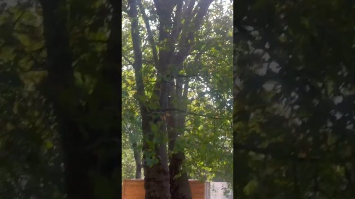 Can you feel it ? #nature #birds #wildlife #mindfulness