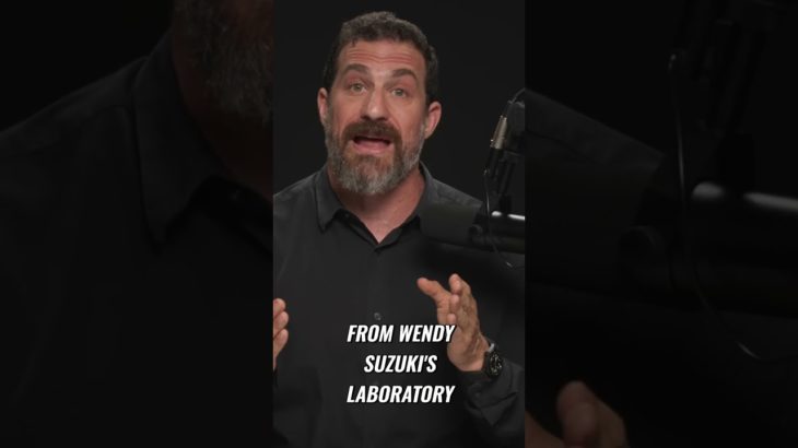 Daily Mindfulness Meditation #shorts #podcast