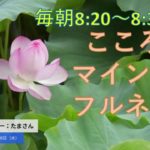 【Daily Mindfulness Practice  心のラジオ体操】