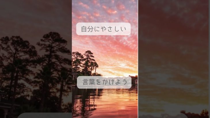 Day 6 #言霊の力#波動の法則 #スピリチュアル