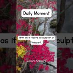 Find Peace in Ikebana #shorts #motivation #leisure #inspirational #wellness #wellbeing