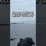 プロフリンクからLINE追加で、3大特典をプレゼント⛩✨  #スピリチュアル #金運 #開運