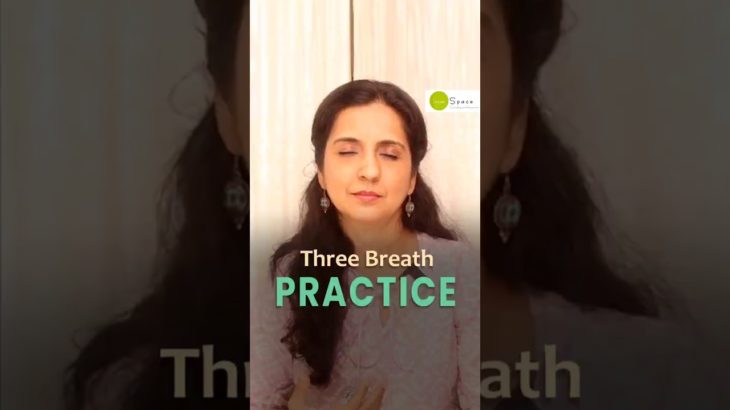 Meditation journey aise shuru kare-Three Breath Practice #mindfulnessmeditation #meditation #shorts