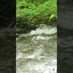 [[ RELAXING SOUNDS ]] ひんやり涼しい水の音｜睡眠、勉強、瞑想、癒し、リラックスに最適｜涼しく眠れる水の音