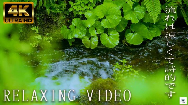 [[ RELAXING SOUNDS ]] ひんやり涼しい水の音｜睡眠、勉強、瞑想、癒し、リラックスに最適｜涼しく眠れる水の音