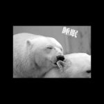 良質な睡眠メリット/The benefits of good sleep#睡眠雑学 #睡眠 #寝れない時に聴く